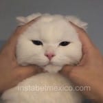 Avatar de Esmeralda Patiño