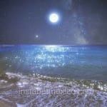 Avatar de Rocío Coronado